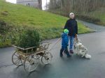 Abgabe_Christbume_19.12.15__9.jpg