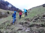 Alpsuberung_2016_32.JPG