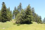 IMG_2790.JPG