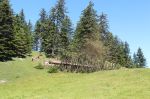 IMG_2795.JPG