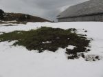 04.12.15_Kamm_Brechstellen_6.JPG