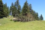 IMG_2797.JPG