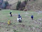 Alpsuberung_2016_37.JPG