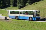 IMG_2869.JPG