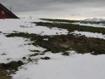 04.12.15_Kamm_Brechstellen_7.JPG