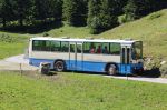 IMG_2868.JPG