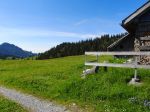 28.05.15_20_Inneralp_Alpauffahrt.JPG