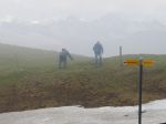 Alpsuberung_2016_45.JPG