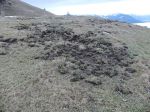 04.12.15_Kamm_Brechstellen_5.JPG